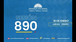 Sesión 890 del Pleno de la Asamblea Nacional [upl. by Norok655]