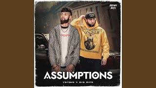 Assumptions [upl. by Yoc]