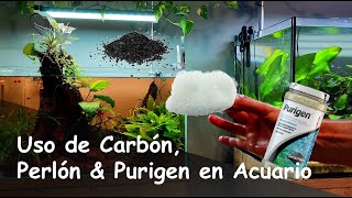 Por qué NO DEBEMOS USAR Carbón Activo Perlón o Purigen en Acuarios Plantados [upl. by Deaner]