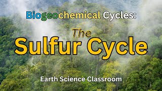 Detailing The Sulfur Cycle [upl. by Htilil626]