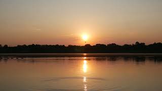 Lake Hiawatha Sunrise  Geese in Sunlit Water [upl. by Ahsetal]