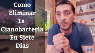 🔵 Como Eliminar La Cianobacteria De Nuestro Acuario En 7 Días Acuarios MB [upl. by Anilocin17]