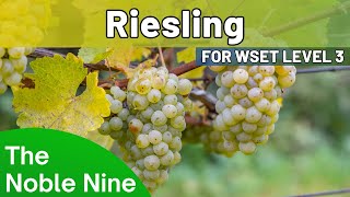 The Noble Nine  Discover Riesling For WSET Level 3 [upl. by Karleen]