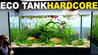 The Ecosystem Tank HARDCORE MODE Walstad Method No Filter Low Tech Dirt Aquascape Tutorial [upl. by Nyrahtak]