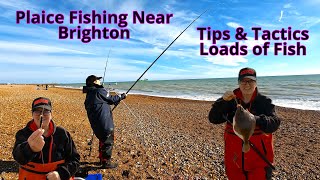 Plaice Fishing Near Brighton Tips Tactics and Loads of Fish [upl. by Callahan]