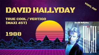 David Hallyday  True Cool  Vertigo 1988 Maxi 45T [upl. by Brant]