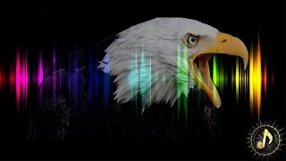 Cinematic Eagle Cry Sound Effect [upl. by Derfnam]