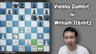 Vienna Gambit ni William Steinitz chess [upl. by Eirrak868]