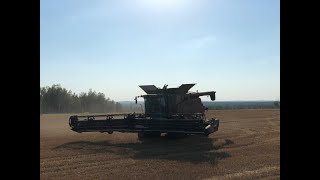 MacDon FD 140 draper header harvesting heavy lodged winter wheat without crop lifters [upl. by Niko]