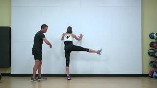 Leg Swings Abduction Adduction Hip mobility flexibility [upl. by Greenwald]