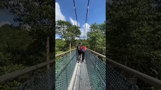 Tree Top Park amp MacRitchie Reservoir 🇸🇬 singapore singaporevlog travel asia shorts [upl. by Acinhoj]