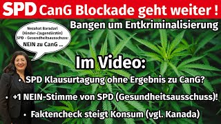 CanG SPD Fraktionsspitze weiter still  1 SPD NEIN zu Entkriminalisierung aus Gesundheitsausschuss [upl. by Yarased]