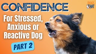 Dog Training A Stressed Anxious Or Reactive Dog Part 2 169 podcast [upl. by Tremann]