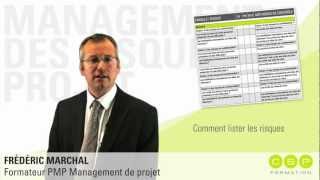 Comment lister les risques  les checklists  La Minute Risque Projet 1017 [upl. by Aihsat]