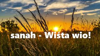 sanah  Wiśta wio 1h tekst bez reklam 1hour Lyrics [upl. by Licastro]