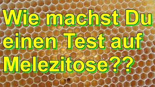 Wie machst Du einen Test auf Melezitose [upl. by Eiramanad326]