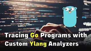 DynamicTracing Custom Go Programs with Custom Ylang Analyzers using OpenResty XRay [upl. by Templer]