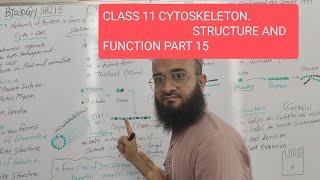 CLASS 11  CYTOSKELETON STRUCTURE AND FUNCTION  CELL BIOLOGY  PART 15 [upl. by Holladay]