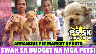 UPDATE SA ARRANQUE PET MARKET  MARCH 07 2024 [upl. by Sucramat645]