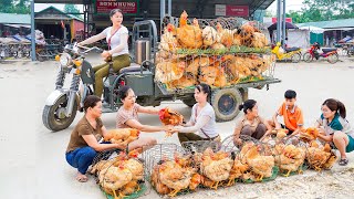 Use 3wheeled Vehicle Harvesting Many Chicken Goes To Market Sell  Take Care Of Animals on My Farm [upl. by Gelman]