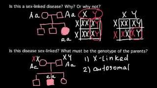 How to solve a Pedigree problems [upl. by Demy]