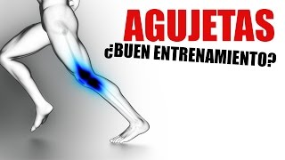 AGUJETAS ¿INDICAN SI HE ENTRENADO BIEN [upl. by Aeret420]