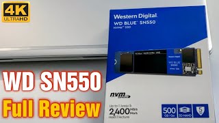 WD Blue SN550 NVMe SSD Review [upl. by Baun581]