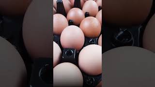 अंडे खाने के नुकसान EGG SIDE EFFECTS  Shuddhi  ACHARAY MANISH JI  AYURVEDA [upl. by Huberman]