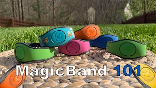 HOW TO SET UP YOUR DISNEY MAGICBAND  MagicBand 101 Using My Disney Experience [upl. by Conn]