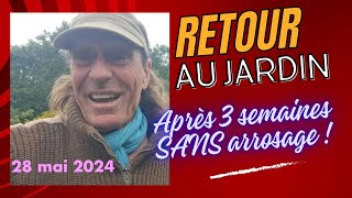 Retour à la serre après TROIS semaines dabsence sans arrosage  Désastre ou abondance  MiniShow [upl. by Cadmar]