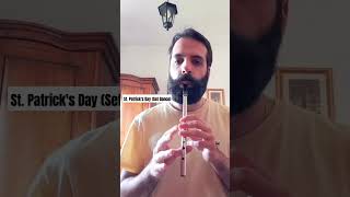 St Patricks Day Barbary Bell tinwhistle music irish [upl. by Zsamot]