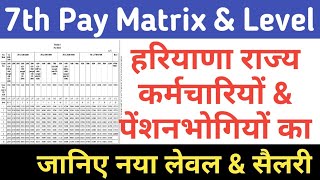 7th Pay Matrix Haryana Government Employees amp Pensioners Pay Rules for Haryana State Govt Employees [upl. by Hayikaz]