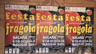 Festa della Fragola  Salara RO  PianuraNewsTV [upl. by Calabrese137]