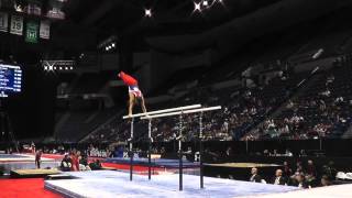 Dylan Ellsworth  Parallel Bars  2013 PampG Championships  Jr Men  Day 2 [upl. by Nordine386]