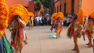 Tlacololeros de Zumpango del Río del Estado de Guerrero en Coyoacán 2015 [upl. by Kristy]