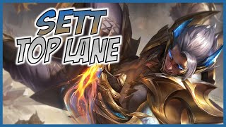 3 Minute Sett Guide  A Guide for League of Legends [upl. by Yerahcaz]