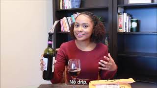 Vintorio Wine Aerator Pourer  Demo and Unboxing [upl. by Asserak]