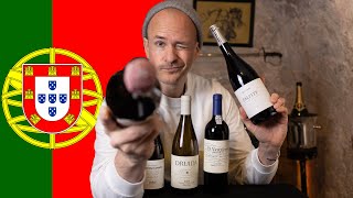 Portuguese Wines Great Quality at Bargain Prices [upl. by Shelah]