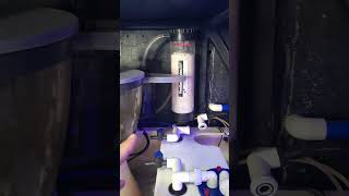 How to connect a CO2 scrubber your skimmer is under one minute reeftank reeftankl [upl. by Airdnola]