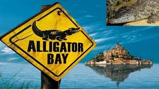 Aligator Bay  Crocodylus niloticus Crocodylus parosus  082016 [upl. by Devol]