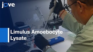 Endotoxin In NanoFormulations Using Limulus Amoebocyte Lysate LAL Assays l Protocol Preview [upl. by Yetti]