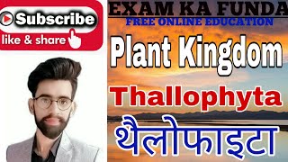 Plant kingdomthallophytaथैलोफाइटाNCERTNEETREETCTETRailwaySSCCHSLScience by Lalit Rajput [upl. by Helene]