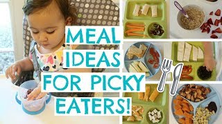 TODDLER MEALS FOR PICKY EATERS  TODDLER MEAL IDEAS  Hayley Paige [upl. by Jobey]