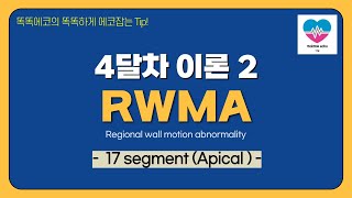 RWMA 17 segment Apical RWMA echocardiography 심장초음파 TTE sonography rdcs segment [upl. by Ainadi]