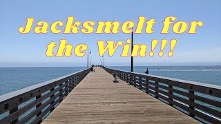 Cayucos Pier Fishing With a Sabiki Rig  Jacksmelts and Skates [upl. by Negriv]