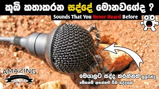 මේවනම් ඔබ අහන්නම ඕනි සද්ද [upl. by Riker642]