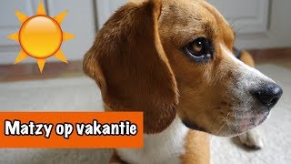 Britt en Matzy op vakantie  DierenpraatTV [upl. by Kerri]