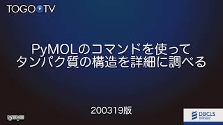 PyMOLのコマンドを使ってタンパク質の構造を詳細に調べる [upl. by Desta978]