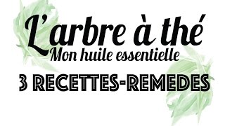 Larbre à thé Mon huile essentielle 3 recettesremèdes [upl. by Sternberg]