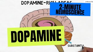 2Minute Neuroscience Dopamine [upl. by Norda234]